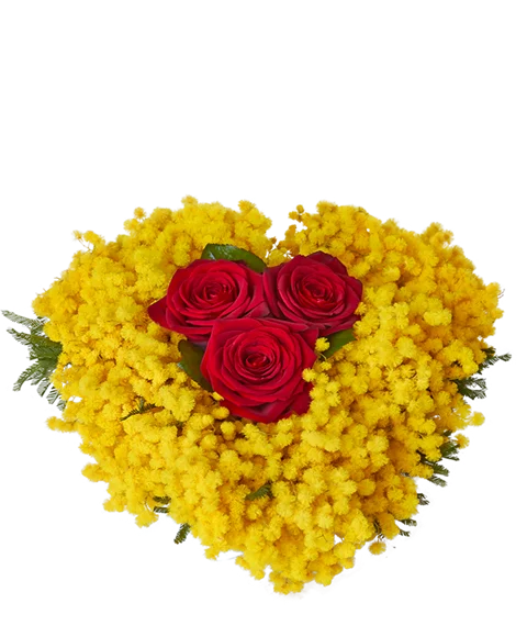 Cuore d'Affetto